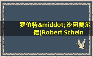 罗伯特·沙因费尔德(Robert Scheinfeld)